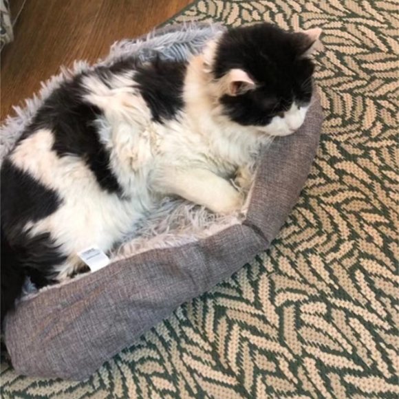 Folding Cat Bed House 2 in 1 Super softy winter Bed - Picture 6 of 6